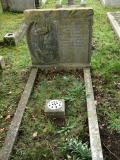 image number Tomkins Joyce 162